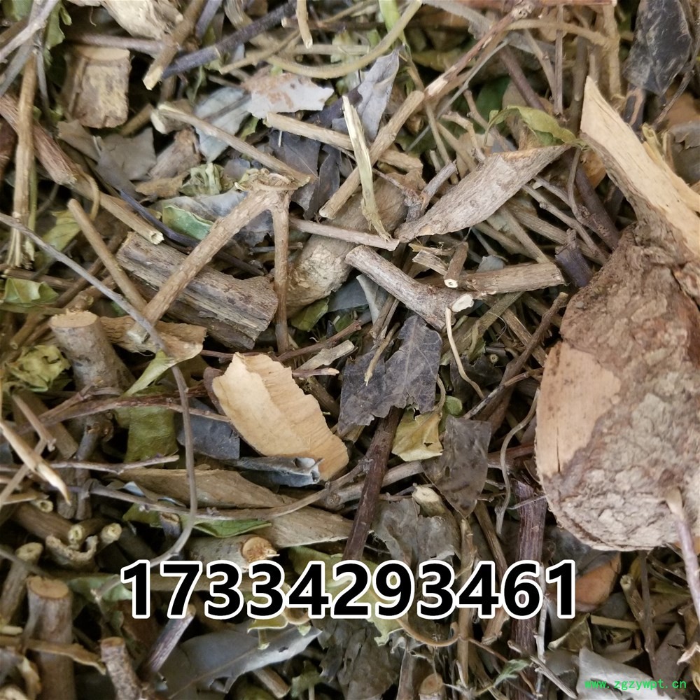 20190224_121604.jpg