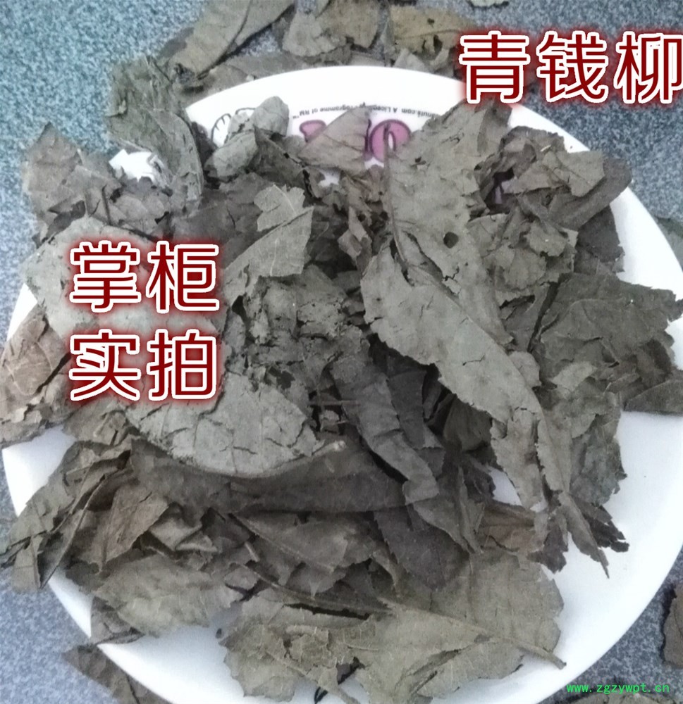 青钱柳2_meitu_2.jpg