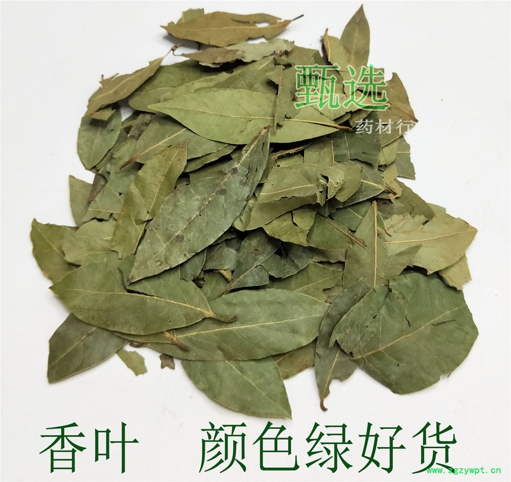 香叶颜色绿好货水印1.jpg
