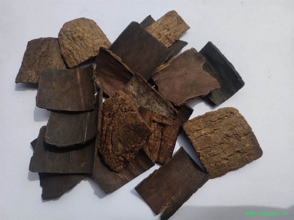 webwxgetmsgimg (3).jpg