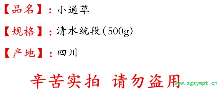 小通草统段  描述.jpg