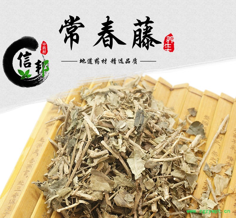 常春藤详情_01.jpg
