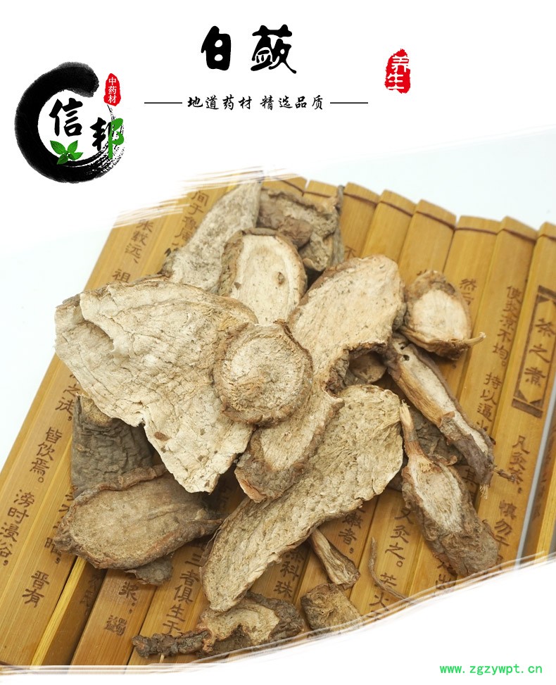 白蔹详情-1.jpg