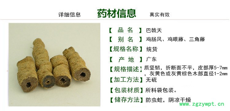 巴戟天息商品信息1_副本.jpg
