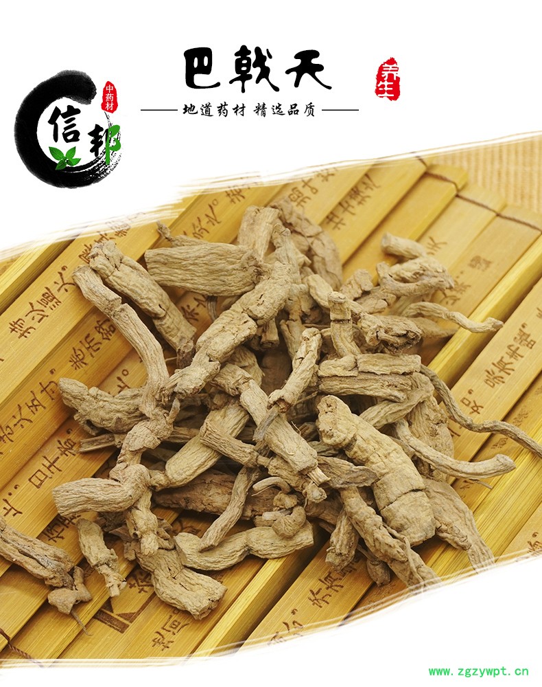 巴戟天_01.jpg
