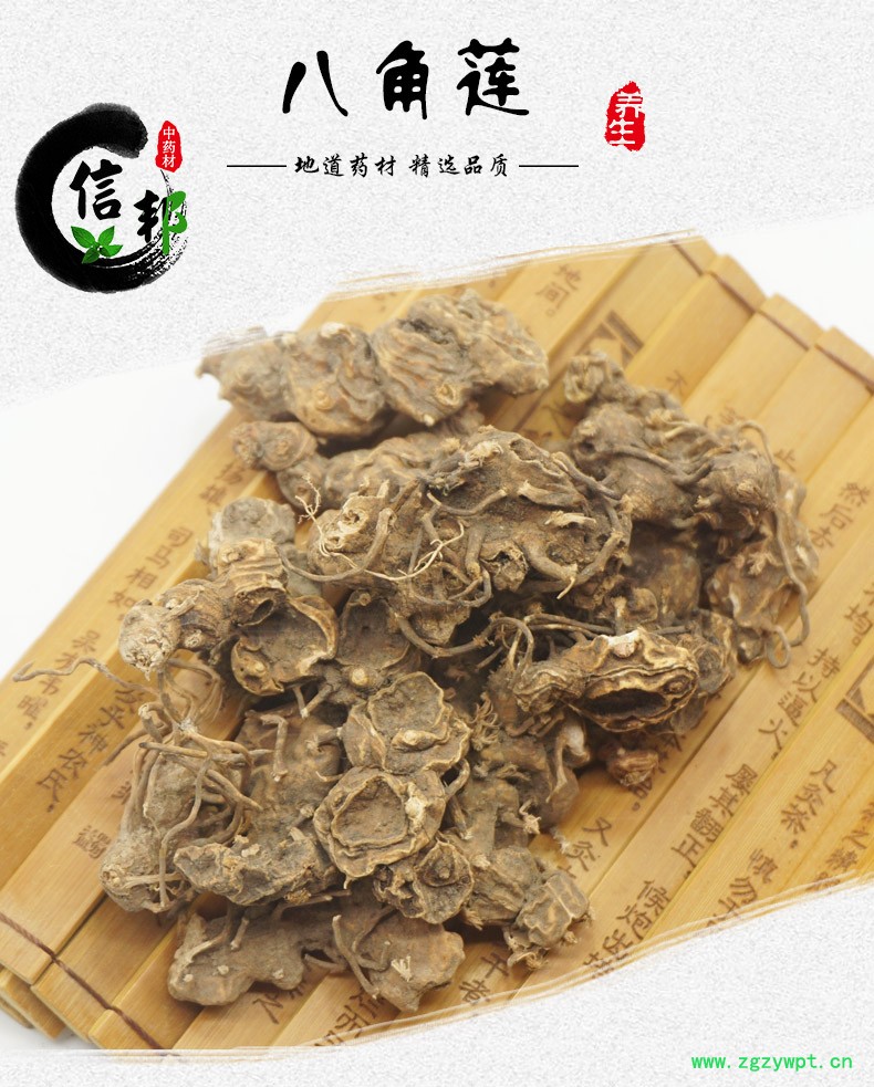 八角莲详情1.jpg