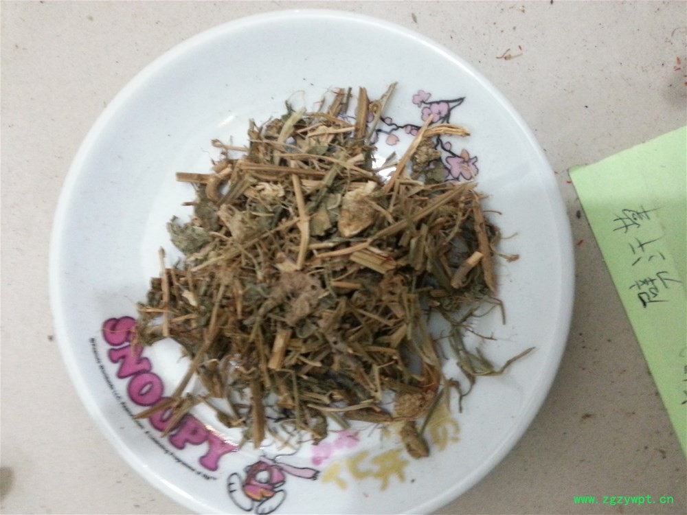 辟汗草.jpg