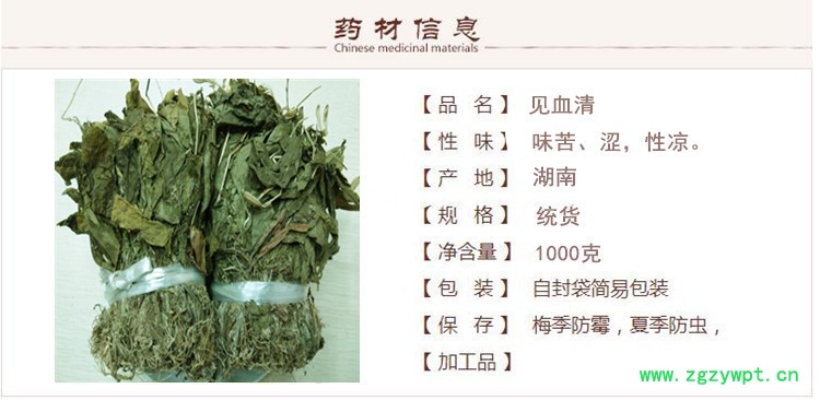 见血清1.jpg