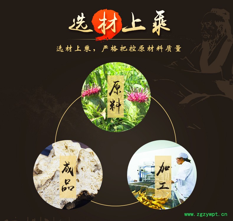 白术_03.jpg