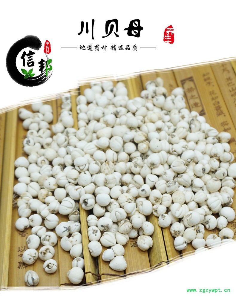 川贝母统货详情-1.jpg