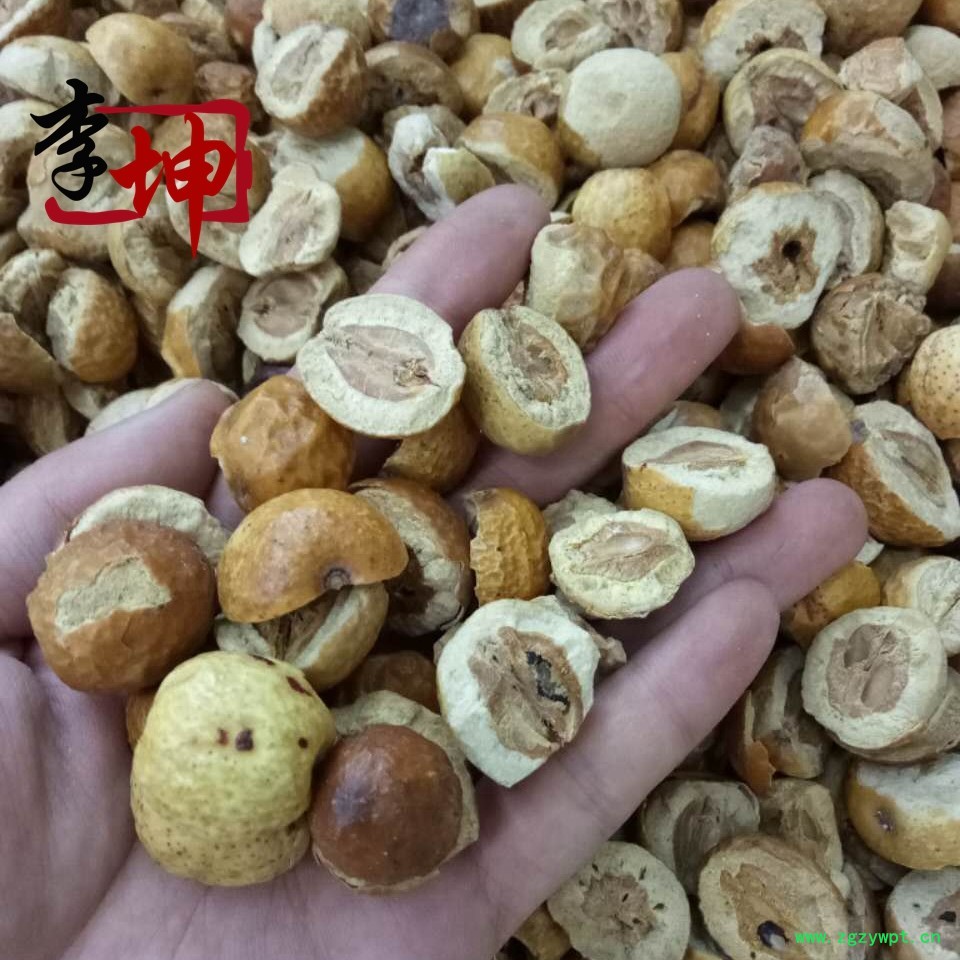未标题-13.jpg