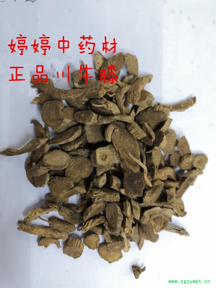 17_副本.jpg