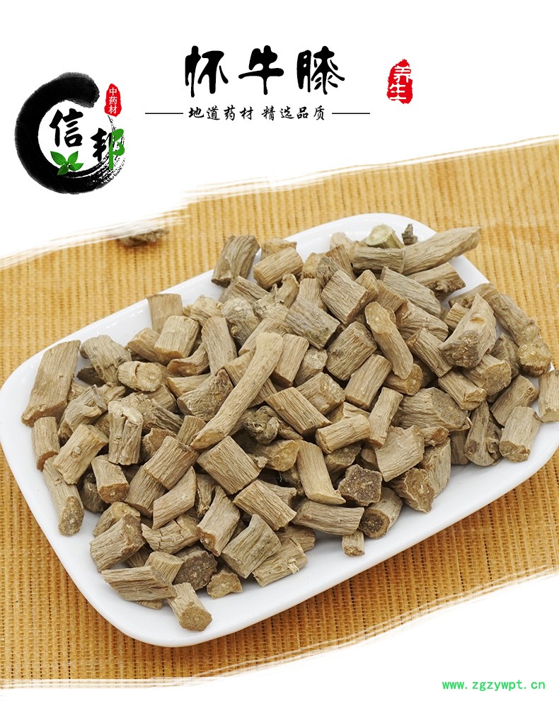 怀牛膝_01.jpg