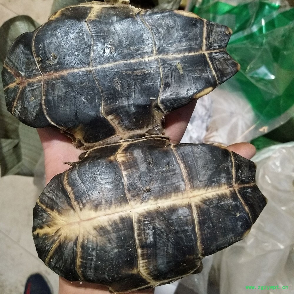 QQ图片20181031110030.jpg