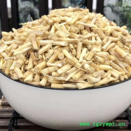 河北新鲜白茅根 坚草根甜草根寒草根 白毛根1000g 量大从优