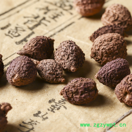 批发砂仁壳砂仁 砂仁 现货批发