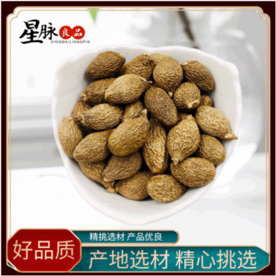 厂家直供胖大海 批发散装胖大海量大从优 圆果胖大海花果茶润喉茶