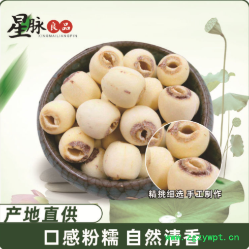 白莲子产地货源白莲子批发白莲子五谷杂粮代发货大货湘潭白莲子