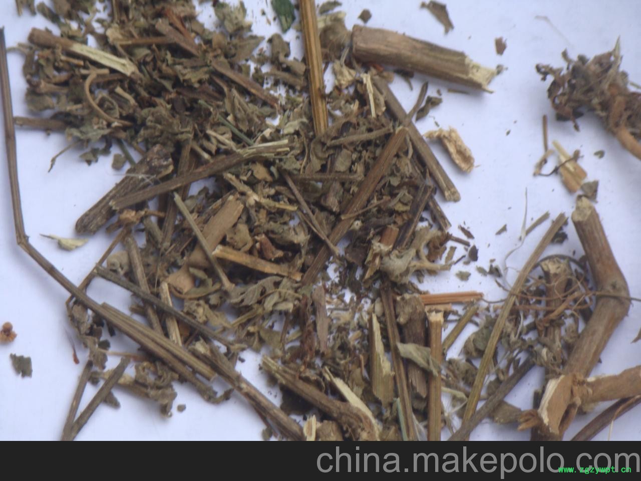 供应陈氏种植 常年供应倒扣草大货 供应陈氏种植 常年供应倒扣草大货