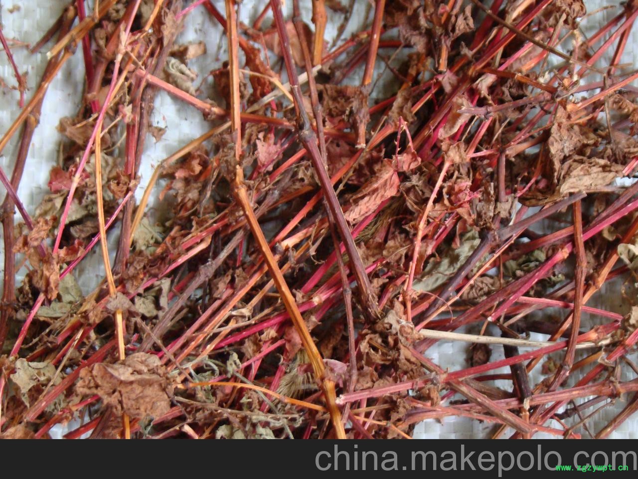 供应陈氏种植 常年供应杠板归大货 供应陈氏种植 常年供应杠板归大货