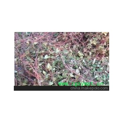 宝宝护理用品/金银花叶藤/洗澡泡浴/预防痱子