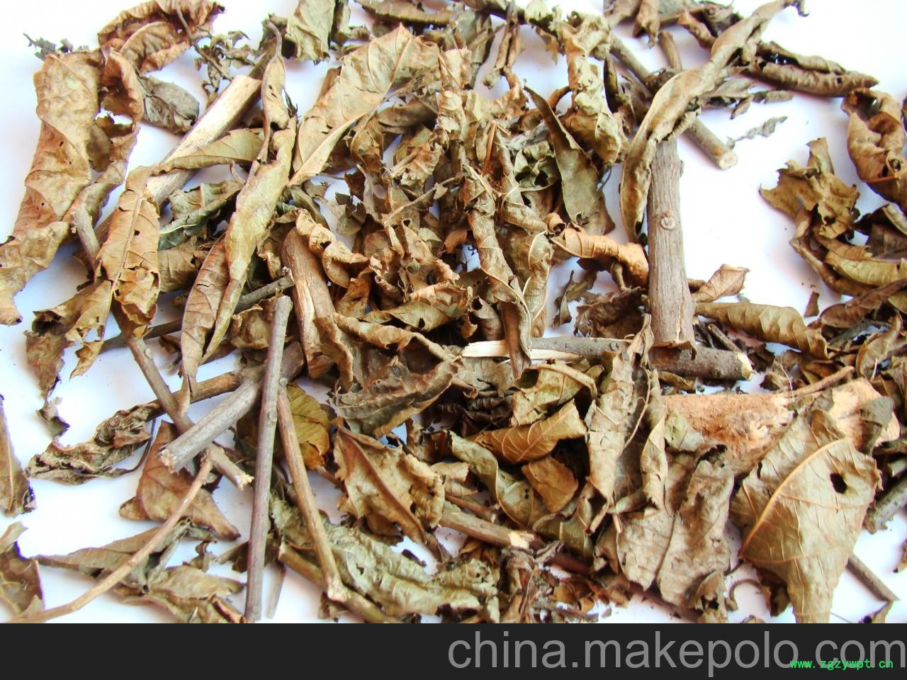 供应陈氏种植 常年供应路边青大货 供应陈氏种植 常年供应路边青大货