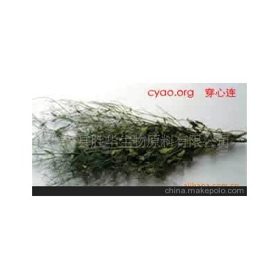 产地直销穿心莲