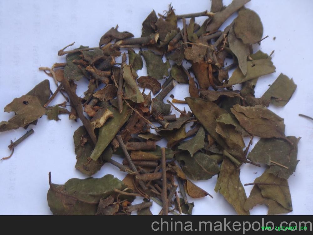 常年供应陈氏种植 寄生大货 常年供应陈氏种植 寄生大货