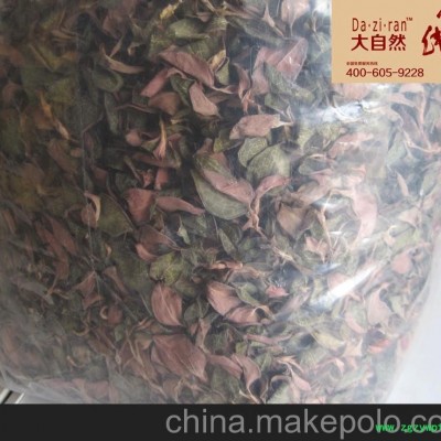 供应干品金线莲