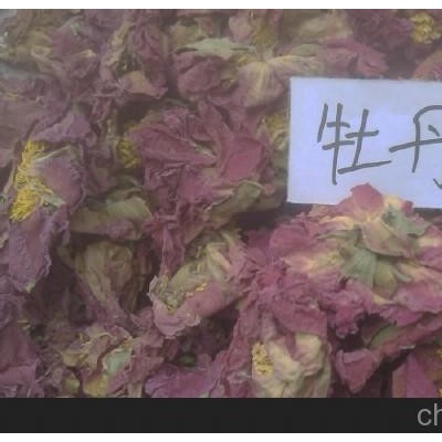 牡丹花