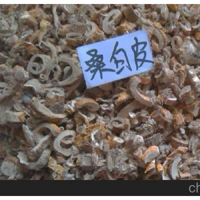 桑白皮