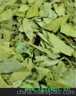 进口国产番泻叶 润肠通便 原植物中药材泻叶