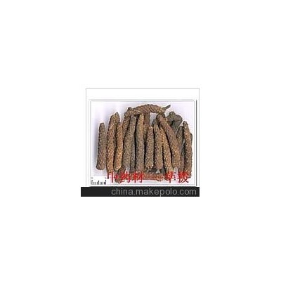 批发供应 中药材 荜拨对于冷气呕吐，心腹胀满，消化不良效果佳。