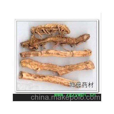 批发供应 中药材 知母 毛知母 连母、水须、穿地龙。