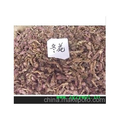 批发供应 中药材款冬花 冬花，款花，艾冬花，九九花，润肺化痰