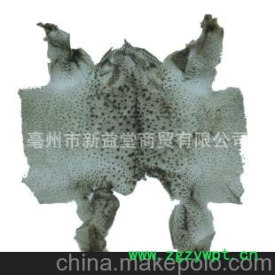 产地直销 供应优质中药材蟾衣