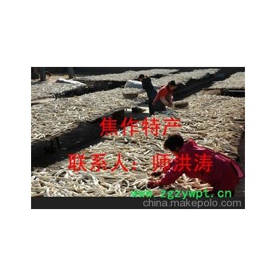 批发 优质 山药 补脾养胃 生津益肺