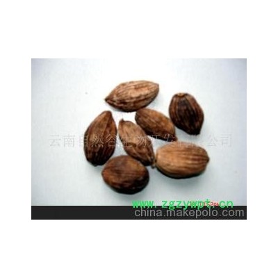 中药材植物原药材、草果