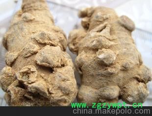 云南中药材批发 厂价直销 50头三七