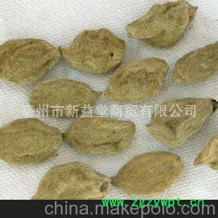 产地直销 供应优质中药材碧桃干