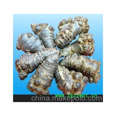 批发云南三七 田七