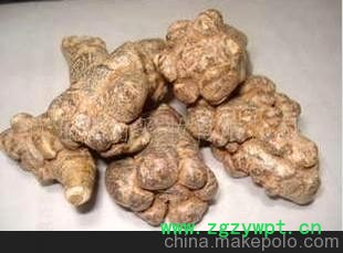 批发供应中药材云南三七 田七 20头