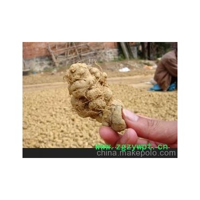 本地三七，到8月份才收呢要的么可以先联系