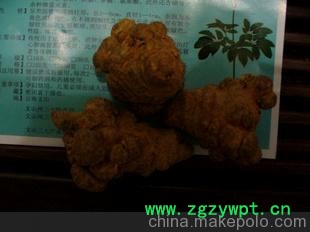 原生态云南三七30 头