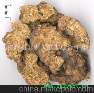 出售秦岭优质苍术