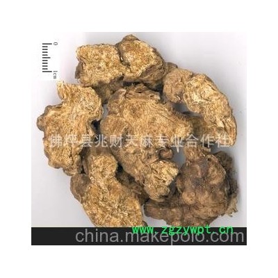 出售秦岭优质苍术