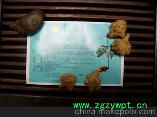 原生态云南文山三七