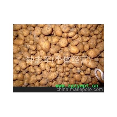 大量供应-- 天麻 鲜天麻 保鲜天麻 宜昌天麻批发 保质保量