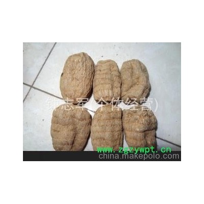 大量供应-- 中药材天麻 特级天麻 商品麻 宜昌天麻 产地直销