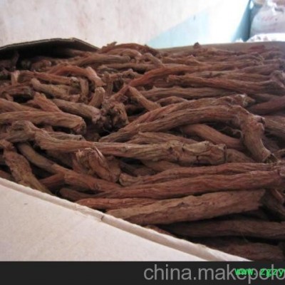 药用航天丹参培育基地，航天丹参销售厂家，寿光凯瑞公司